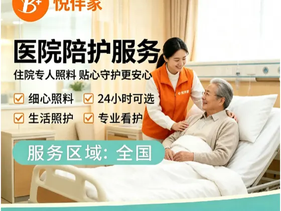 全天VIP陪护